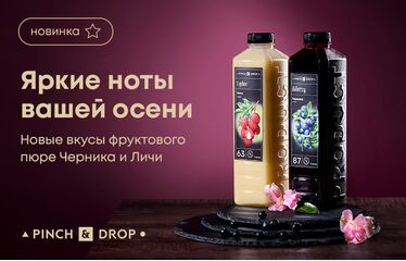 Яркие ноты вашей осени: новые вкусы фруктового пюре «Черника» и «Личи» от Pinch&Drop